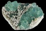 Blue-Green Fluorite on Quartz Crystals - China #125316-2